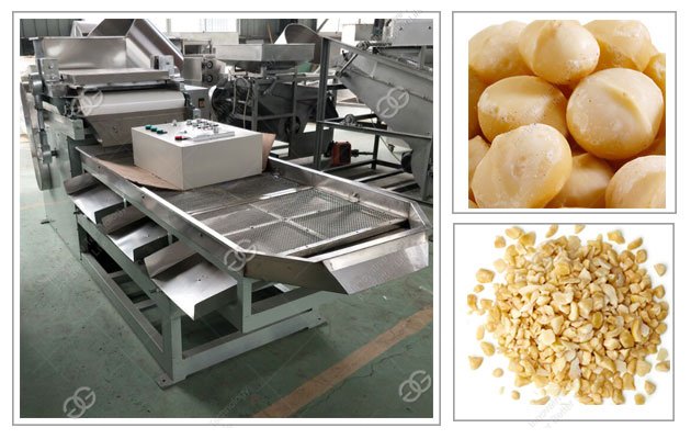 Commercial Eletric Nut Chopper for Almond Macadamia